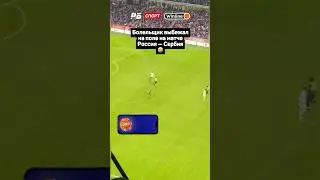 БОЛЕЛЬЩИК ВЫБЕЖАЛ НА ПОЛЕ НА МАТЧЕ РОССИЯ — СЕРБИЯ 🤣