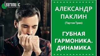 Урок по губной гармонике | Динамика