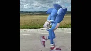 Sonic in REAL LIFE 