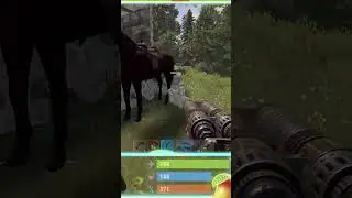 Solo Molotovs Wood Base For Stone !?!? SOLO Vanilla Rust #Rust