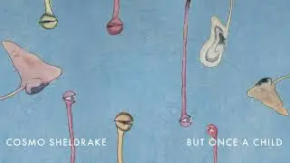 Cosmo Sheldrake - But Once A Child