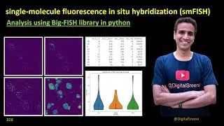 328 - smFISH Analysis using Big FISH library in python​