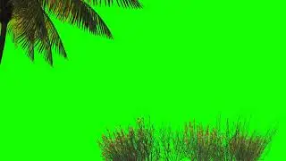 3d Render Design Palm Trees And Grass On A Green Background Green Screen For Keying 4k