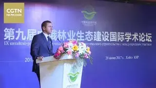 Специалисты из Китая и России обсуждают проблемы рационального использования лесных ресурсов [Age0+]