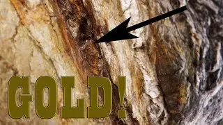 We Found VISIBLE GOLD EVERYWHERE!!!
