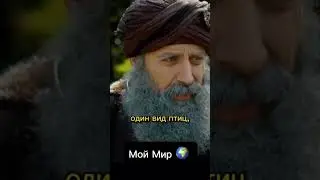Мир разнообразен «Великолепный век» 