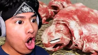 THE LIVING MEAT CREATURES HAVE RETURN!!! | Vita Carnis