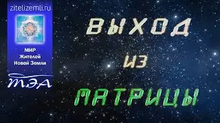 Активация ТЭА | ВЫХОД ИЗ МАТРИЦЫ