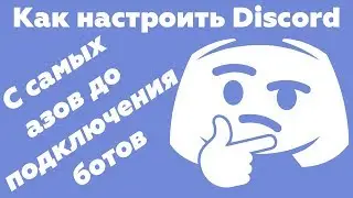 Как настроить Discord - Возможности ботов в дискорде на примере MEE6