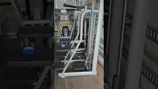Cybex Eagle Gems
