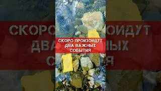 🚀ЭКСТРЕННО‼️КАКИЕ ДВА ВАЖНЫЕ СОБЫТИЯ ПРОИЗОЙДУТ⁉️ ТАРО 