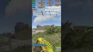 Rust fps test Ryzen 5 3600 RX5600XT