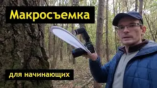 Макросъемка для начинающих - советы и примеры