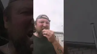 Грибы 
