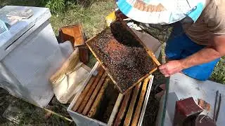Пакетчики, майте совість!