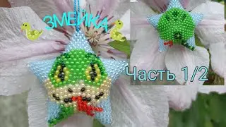 🌟Звёздочка 🐍