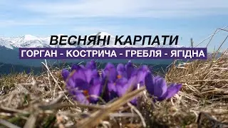Весняні Карпати | Горган, Кострича, Гребля, Ягідна