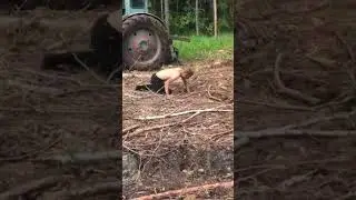 Заработался 