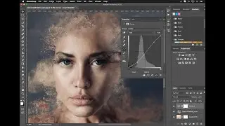 Tools in Adobe Photoshop