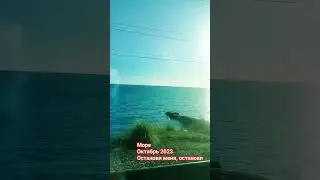Александр Эгромжан Останови меня, останови Дорога  #shorts #сочи #море