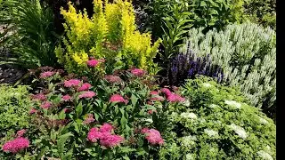 В гостях у Елены в коллекционном саду кустарников 🌿🌿🌿🌲🌲🌲💐walk in a beautiful garden