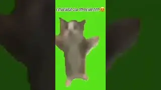 я мужик с именим Настя 