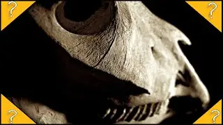 Long Horse has a Short Film 😲