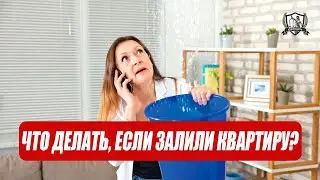 Что делать, если залили квартиру?