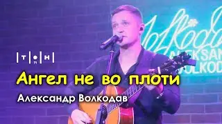 Александр Волкодав - Ангел не во плоти (клуб Тон71, Москва, 19.07.2024)