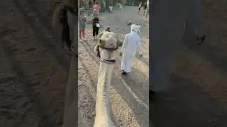 📍Шарм-Эль-Шейх, Египет
