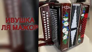 Красавица Ивушка!!! Гармонь в продаже