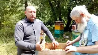МАГАЗИН В РАЗРЕЗ