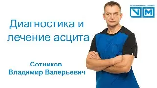 Асцит у кошек и собак Как лечить? Диагностика.Прогноз.
