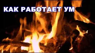 Секрет Истинного Счастья ч.3. Как Работает Ум. Фрэнк Кинслоу.