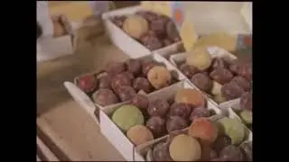 Фитиль 62