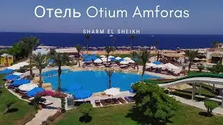 Мой отдых в Египте отель Otium Amforas Sharm 5