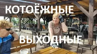 ИЗ РОССИИ В ПОЛЬШУ. ВЫХОДНЫЕ ДНИ: ЗАЛИВ АНТОНИОВ И НАШЕСТВИЕ ГАЗОНОКОСИЛЬЩИКОВ.