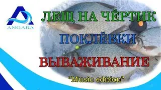 Лещ на чертик  Поклевки и вываживание