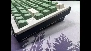 Jelly Epoch & White Jade Switches Sound Test