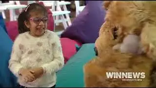 WIN NEWS   Teddy Tea