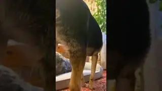 Люсяяяяяяяя🙈🤦‍♀️🤪 