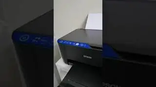 Epson yazıcılarda baskı sayısını görmek 