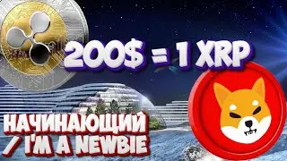 IT WAS 2033 SHIBA INU _ INVESTMENT FOR BEGINNERS (XRP CRYPTOCURRENCY FORECAST)