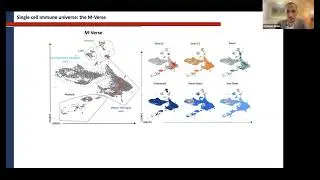 [Aymeric Silvin] Dual ontogeny of disease associated microglia and disease inflammatory...