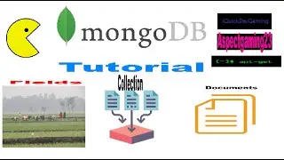 MongoDB Tutorial: how to manage database (and make queries)