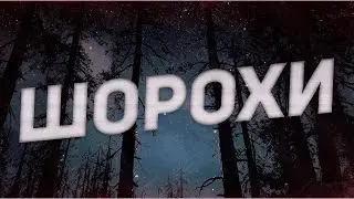 Страшные истории на ночь-Шорохи