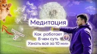 Что такое медитация? Суть медитации за 10 мин. Как правильно медитировать, как начать медитировать?