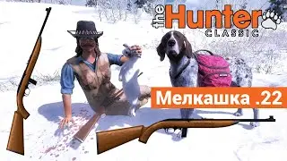 Plinkington .22 - Мелкашка в theHunter: Classic