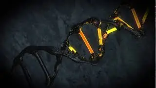 DNA CINEMA 4D After Effects