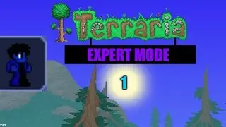 Terraria Expert Mode | E1 Getting started